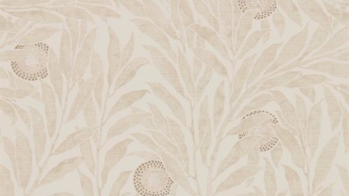 Orange Tree 216401